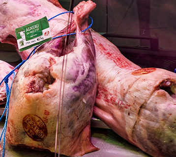 Aceite de Oliva Premium